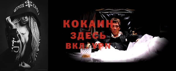 индика Алексин