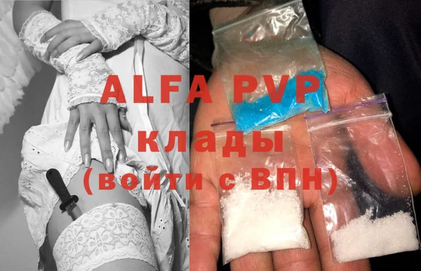 индика Алексин